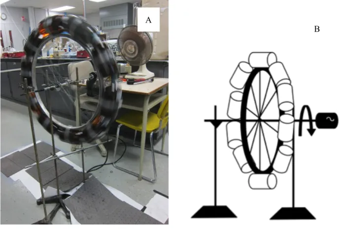 Figure  2–1:  Photo  (A)  et  schéma  (B)  du  montage  des  essais  au  laboratoire  (10  bouteilles  de  1  litre, 20 tr/min, diamètre de 625 mm) 