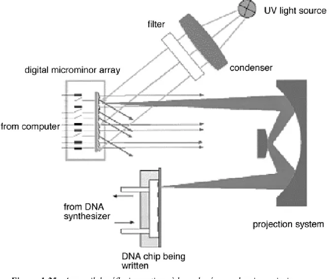 Figure  1-25 :  Appareil de réflexion optique à base de réseaux de micro miroirs  pour  photolithographie