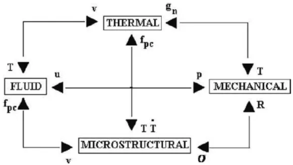 Figure 2.1 Champs reliés dans le contexte des problèmes de coulée (Cruchaga et al., 2004)  Dans  le  cadre  de  ce  projet  de  maîtrise,  l'accent  est  sur  la  dernière  étape  de  la  mise  en  forme de l'explosif, à savoir le cycle de refroidissement