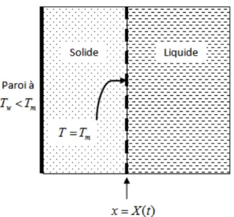 Figure 2.4 Portion de liquide en solidification 