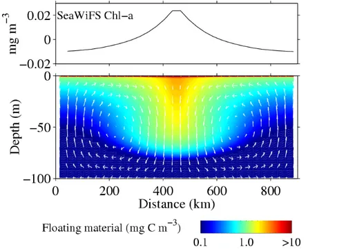 Figure 3. Numerical simulation of the dynamics of floating particles that may generate satellite  detected chlorophyll-like anomalies
