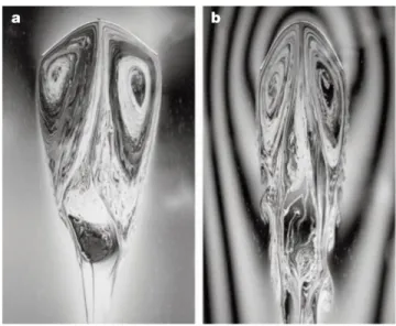 Figure 1.4 Déformation d’une fibre dans un écoulement de film de savon pour deux vitesses de fluide différentes (extrait de Alben et al