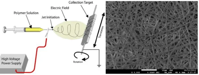 Figure 2.6 a) Schematic diagram of the electrospinning process;  from http://www.people.vcu.edu/~glbowlin; 