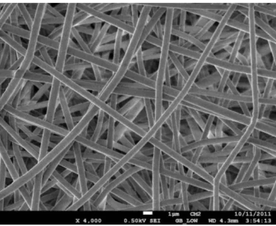Figure 4.1 SEM micrograph of  a plasma-coated electrospun PET nano-fiber mat; no distinction  was possible between pristine (bare) and plasma-coated materials (scale bar: 1 µm)