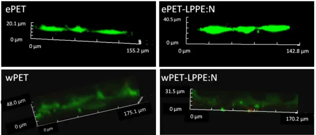 Figure 4.7 Confocal microscopy images of immunofluorescence-stained HUVECs on the various  substrates identified at the top; different rows represent days 1, 7 and 21 of culture (scale bar: 200 