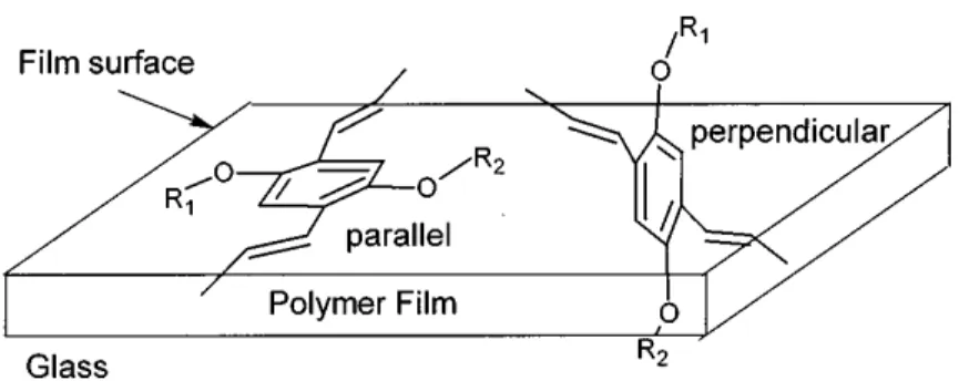Figure 2.10. Parallel and perpendicular orientations of the MEH-PPV aromatic ring on the glass  substrate surface