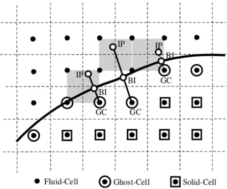 Figure 2.7 Modélisation de la frontière par la technique des Ghost-Cell (Mittal et al., 2008)