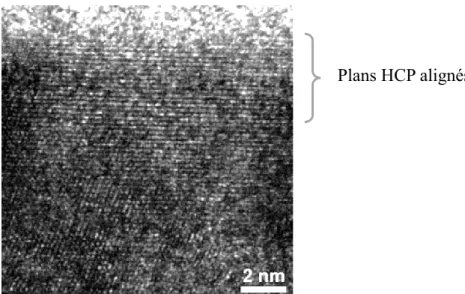 Figure 2-17 : Microscopie électronique en transmission à haute résolution d’une coupe d’un  stellite 6 après un test d’usure [53] 