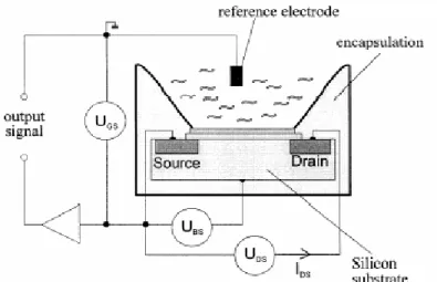 Figure 3.1: Esquisse d’un ISFET avec une électrode de référence   et les connexions électriques 