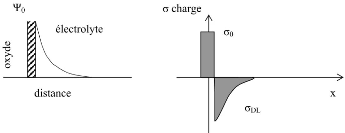 Figure 1.2: Redistribution du potentiel et de la charge à l’interface  oxyde/électrolyte 