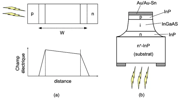 Figure I. 19 : (a) Exemple de photodiode p-i-n et distribution du champ électrique en polarisation inverse ; 