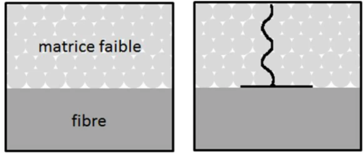 Figure 2-5 : Schéma de principe de la déviation de fissures pour les CMC à matrice poreuse (Ben  Ramdane, 2015) 