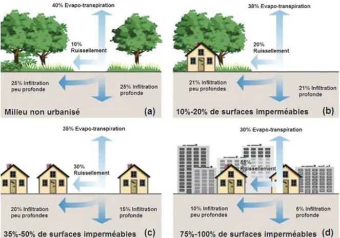 Figure 2.1 Impacts de l’urbanisation sur le cycle hydrologique  Adapté de TRCA/CVC (2010) 