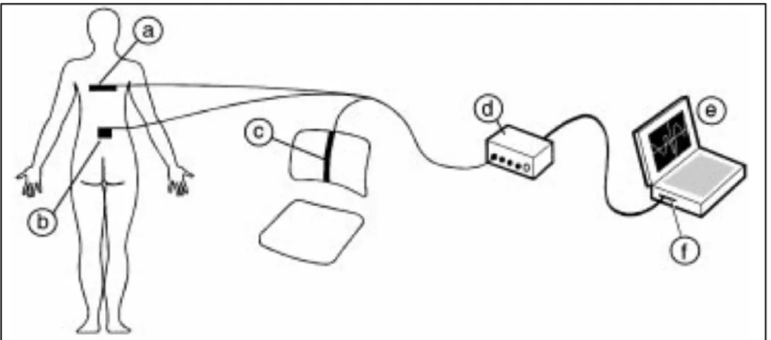 Figure 1-8 : Montage expérimental (Vergara &amp; Page, 2000) 