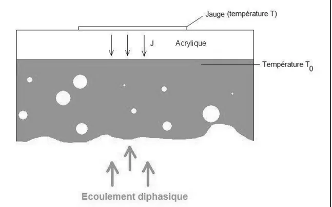 Figure 3.7 : illustration du modèle adopté pour estimer la température de fonctionnement  de la jauge 
