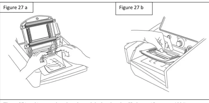 Figure 27 a  Figure 27 b 