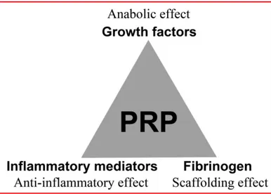 Figure 19 : les principaux effets biologiques du PRP (Xie et al.,2014). 