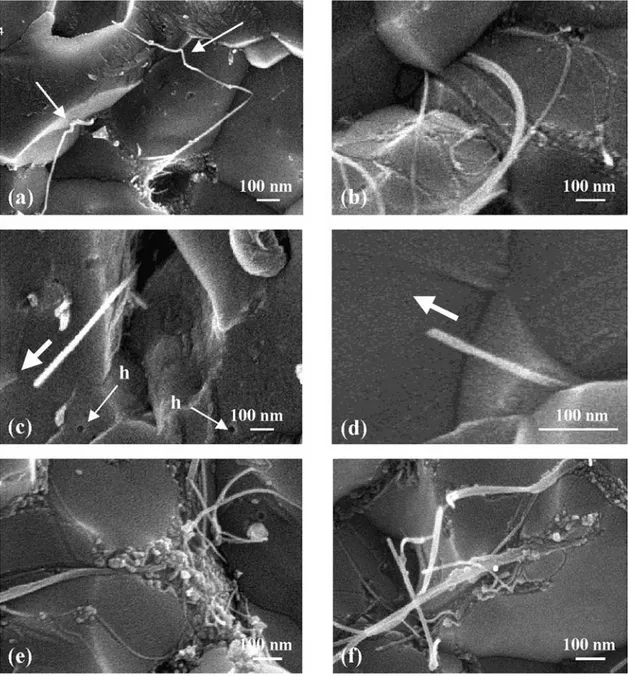 Fig. 3. SEM-FEG images of the fracture of the CNT–Fe–Al 2 O 3 (CMA1) composite showing some aspects of the CNT–matrix interactions.