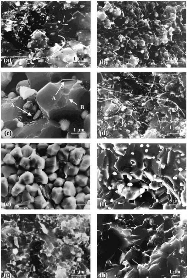 Fig. 2. SEM images of the fracture surface of ceramics and nanocomposites: (a) CNT–Fe–Al 2 O 3 (CMA1); (b) CNT–Fe–Al 2 O 3 (CMA2); (c) CNT–Co–MgO (CMB); (d) CNT–Fe/Co–MgAl 2 O 4 (CMD); (e) MgO (B); (f)