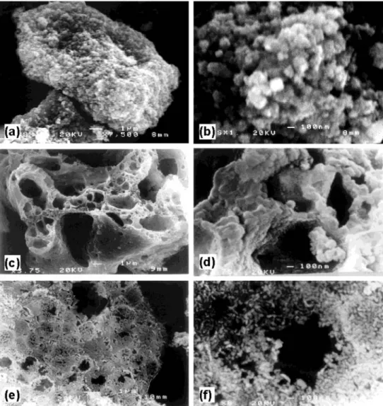 Figure 10. SEM images of Fe10U1 (a, b), Fe10U4 (c, d), and Fe10U8 (e, f).