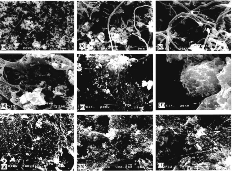 Figure 2. SEM images of Fe10U1R (a, b, c), Fe10U4R (d, e, f), and Fe10U8R (g, h, i) at different magnifications.