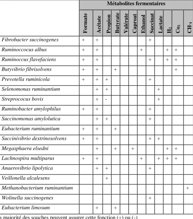 Tableau 3 : Substrats dégradés et fermentés par les principales espèces bactériennes du 