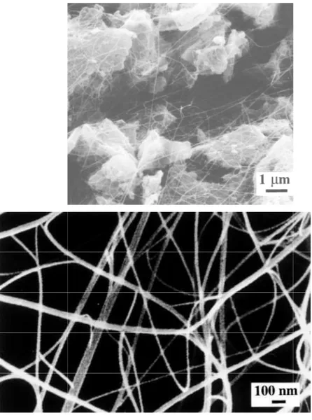 FIG.  1.  Scanning  electron  microg alumina grains by carbon filament