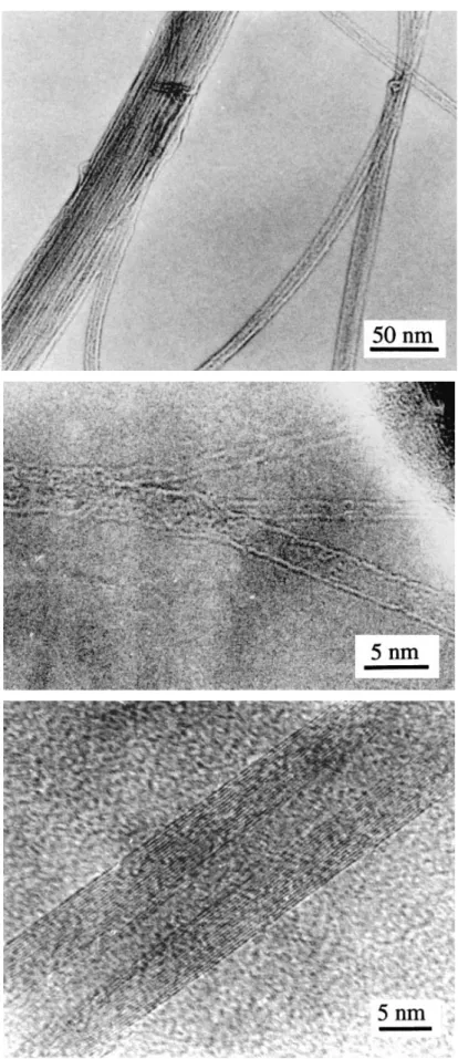FIG. 2. Transmission electron micrographs of the composite powder. (a) Merging of nanotubes into bundles