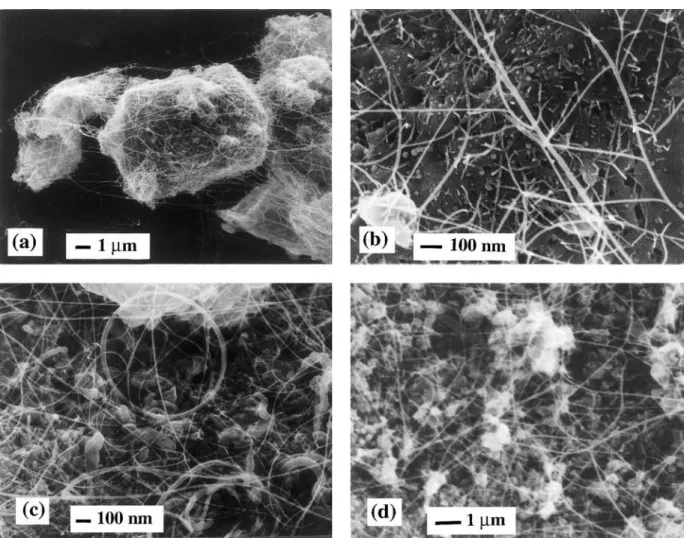 Fig. 2. SEM images of some nanocomposite powders: (a) 5 wt% Fe, 30% CH 4 , T r =1050  C, t r = 1 h; (b) 10 wt% Fe, 12% CH 4 , T r = 1070  C, t r =