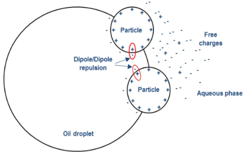 Figure 2.6: Illustration of dipolar repulsive interaction on the oil phase side 