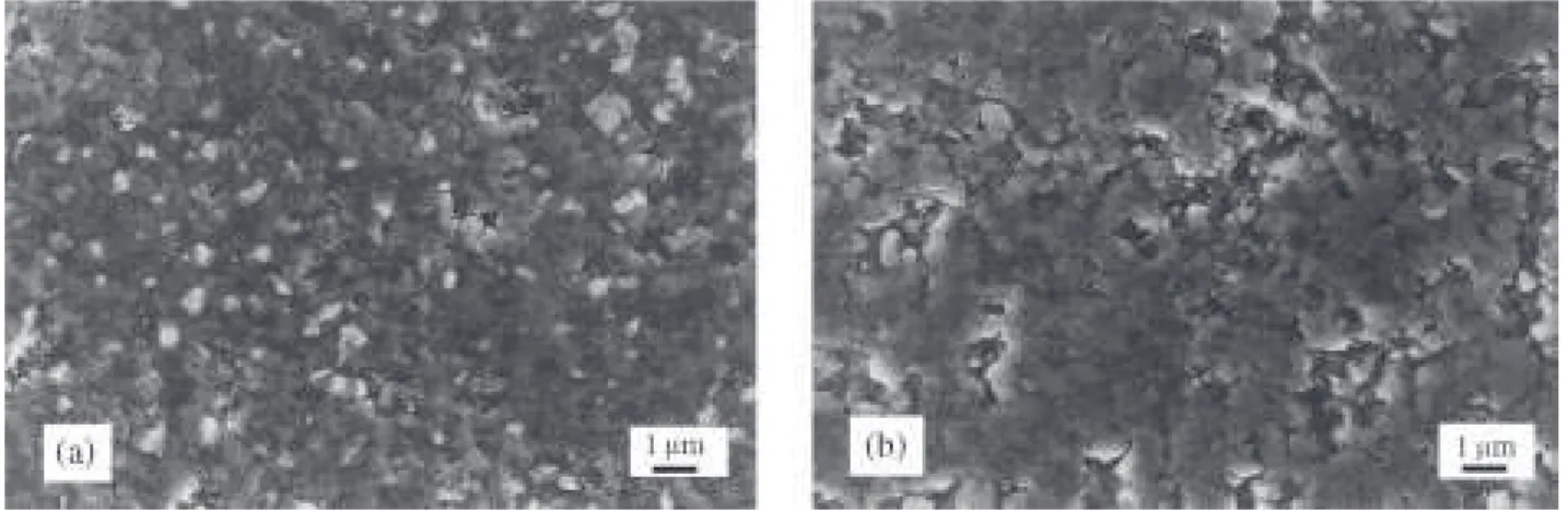 Fig. 1. SEM secondary electron images (SEI) of some polished composites: (a) 20R900, (b) 2R1000.