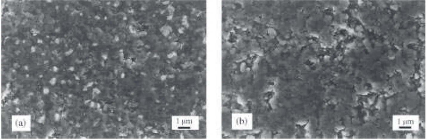 Fig. 1. SEM secondary electron images (SEI) of some polished composites: (a) 20R900, (b) 2R1000.