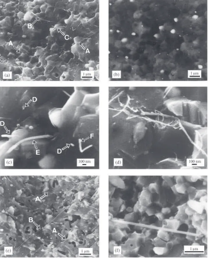 Fig. 3. SEM images of the fracture of some composites: (a±d) 5R900: (a) and (b) are, respectively, SEI and BEI images of the same area; (c) and (d) are details of this area at a higher magni®cation; (e) 10 R900; (f) 20R900.