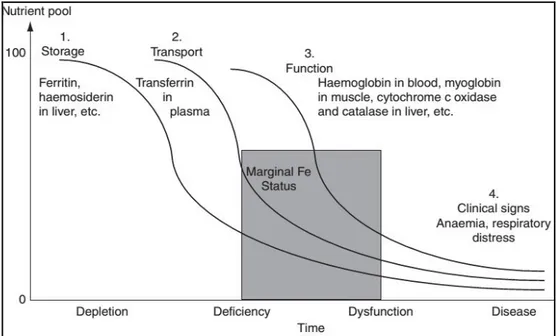 Figure 1 : La séquence des changements biocliniques conduisant à l’apparition des signes  cliniques du déficit du fer (Underwood et Suttle, 1999 ; Suttle, 2010) 