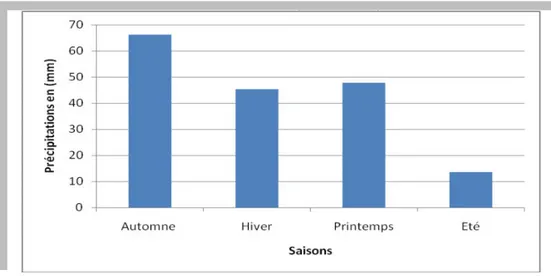 Figure 12 : Histogramme des précipitations saisonnières de la station de Biskra enregistrées au  cours de la période : 1992-2012 (Meguenni-Tani, 2013)      