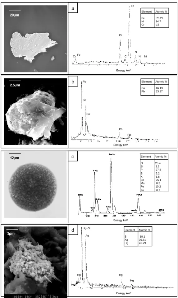 Figure  3.  Electron  micrographs  and  corresponding  EDX  spectra  of  typical  particles  in 