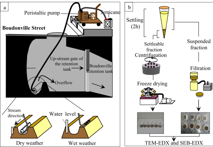 Figure 2. Schematics of (a) sampling procedure and (b) sample preparation. 