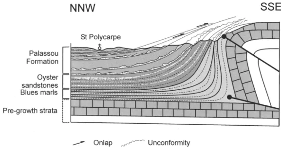 Fig.  7.  Cross-section through the north  western Mouthoumet  Front  showing growth structures involving the 