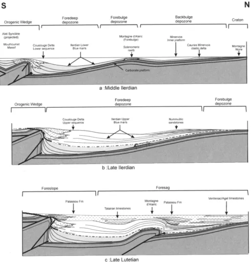 Fig. 10. Schematic  evolution of the Eocene  basin. No vertical  scale. (a) Early to  Middle  llerdian