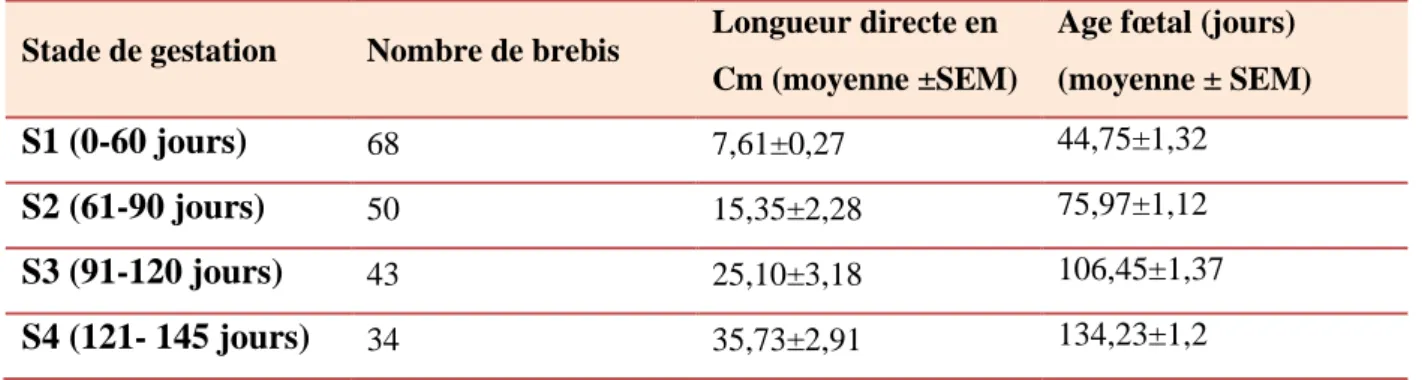 Tableau 09. Classement des brebis en fonction du stade de gestation. 