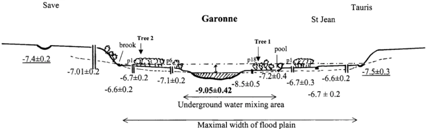 Table 1 displays interesting differences in the isotopic read- read-ings of the water table with a greater dependency on water extracted  from  the  saturated  layers  and  water  extracted from deep roots (respectively 9.08‰ and 8.85‰ for tree 1, and  -6.