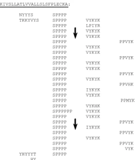 Fig. 4. Repetitive structure of the amino-acid sequence of the N. sylvestris 