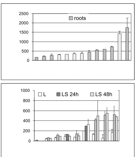 Fig. 6.  Activity of the (-630/+124)Ext 1.2A/GUS gene fusion in transgenic 
