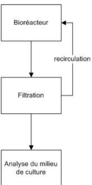 Figure 1.3 - Schéma général d’un système de mesure ex situ 