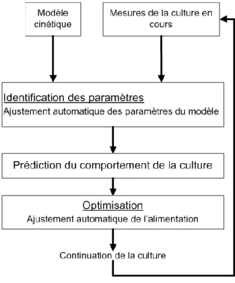 Figure 1.4 - Schéma général d'un contrôle OLFO 