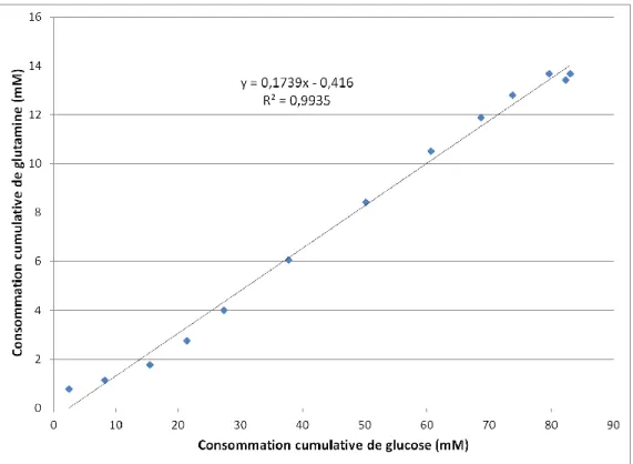 Figure 2.3 - Détermination du rapport stœchiométrique entre le glucose et la glutamine 