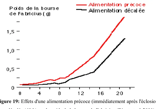 Figure 19: Effets d'une alimentation précoce (immédiatement après l'éclosion) ou  décalée (48 h) sur le poids de la bourse de Fabricius (Bigot et al, 2001)