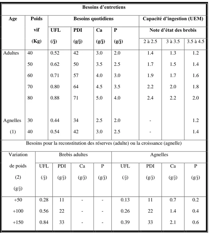 Tableau  01  :  besoins  alimentaires  et  capacité  d’ingestion  de  la  brebis  tarie  ou  début  de 