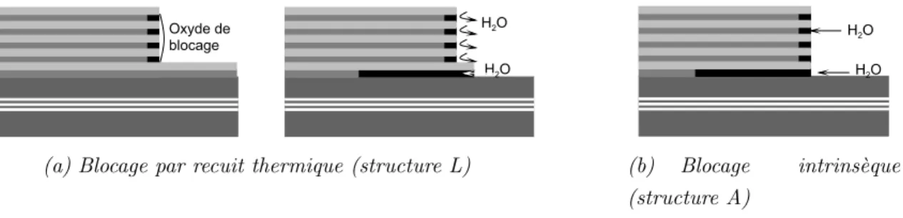 Figure 2.3. Blocage d’oxyde r´ealis´e lors du process ou directement int´egr´e dans la structure.