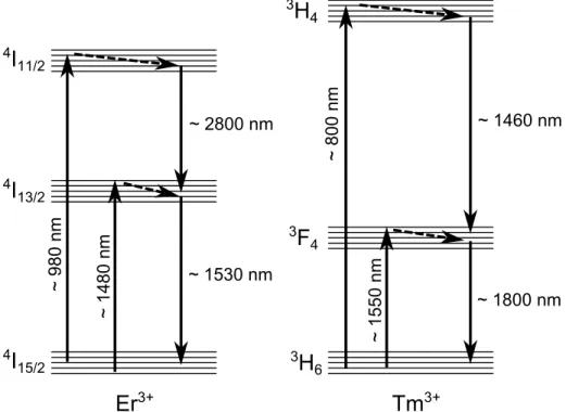 Figure 2.15 : Typical energy level path for Er 3+ and Tm 3+ ions. Lines and dashed lines
